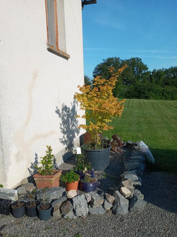 Chez Gondat Chambre D'Hotes Saint-Martial-sur-Isop ภายนอก รูปภาพ