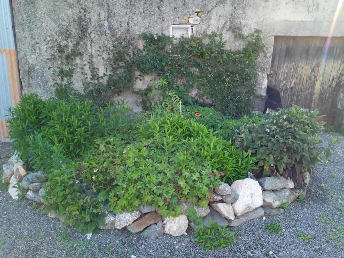 Chez Gondat Chambre D'Hotes Saint-Martial-sur-Isop ภายนอก รูปภาพ